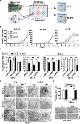 Establishment of Tumor Treating Fields Combined With Mild Hyperthermia as Novel Supporting Therapy for Pancreatic Cancer